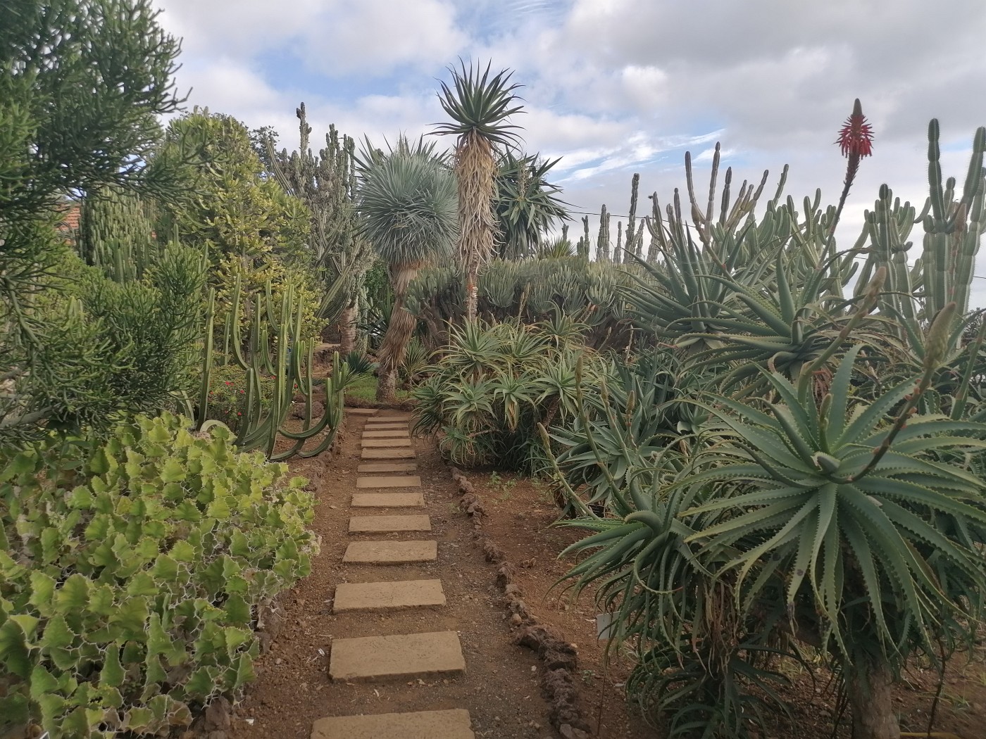Jardim Botanico da Madeira