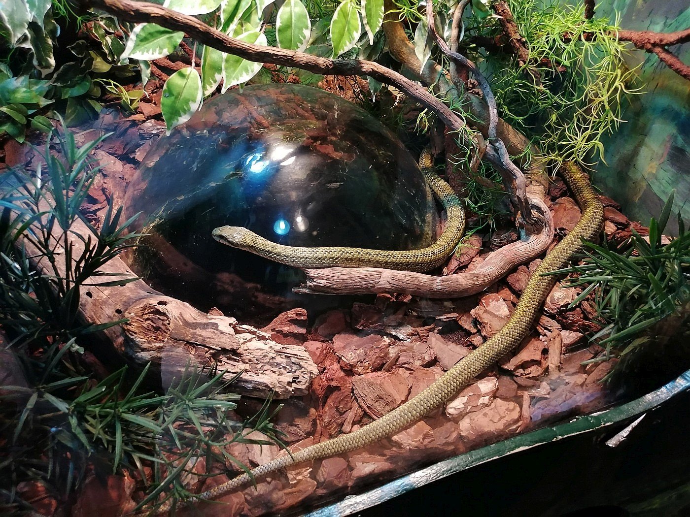 Malta National Aquarium